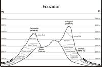 Altitude (vegetation) zones in Ecuador